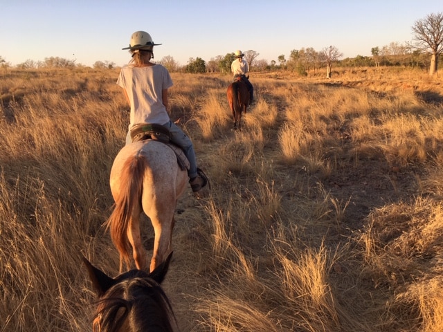 Ballade promenade à cheval dans les Kimberley