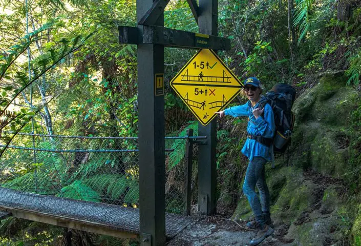 randonnée dans le parc national d'Abel Tasman en Nouvelle-Zélande, passage d'un pont dans la jungle