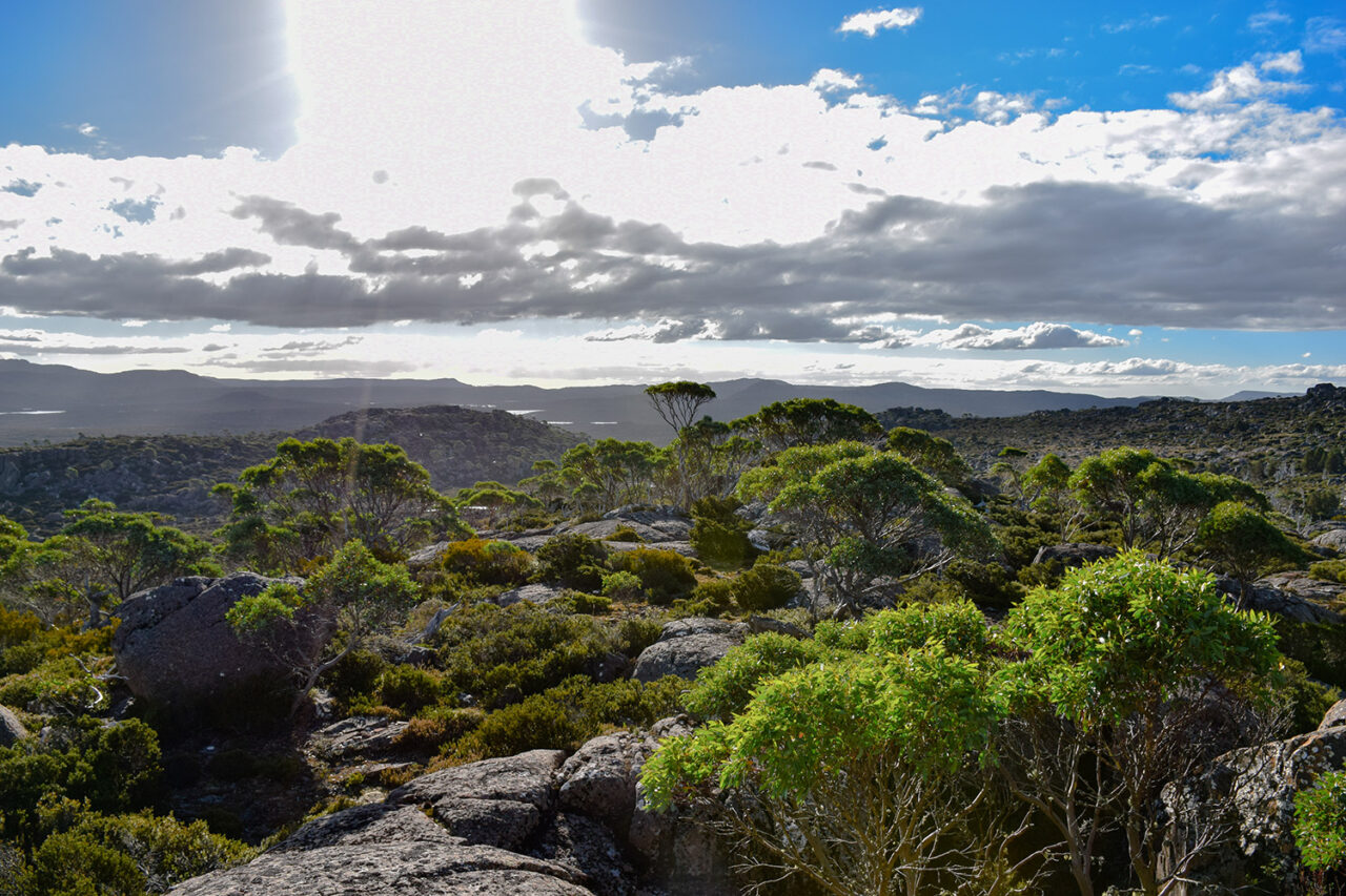 Tasmanie Découvrir Cette île Sauvage Magnifique Globefreelancers 3414