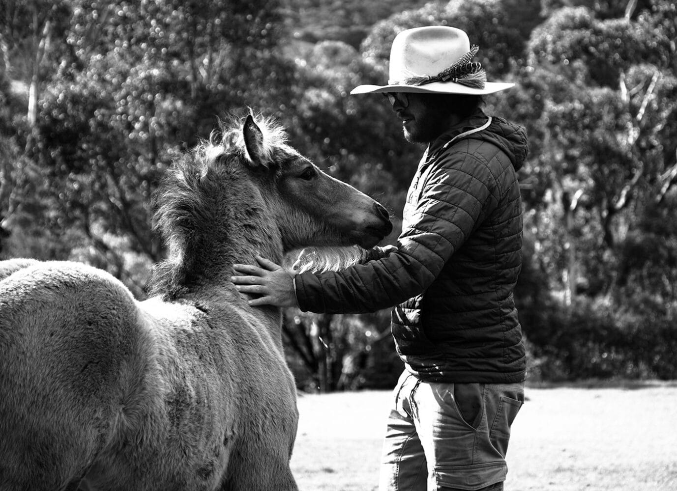 Travailler dans un ranch en Australie