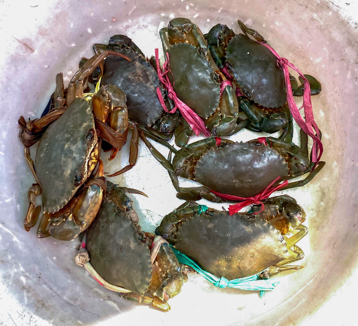 Voyager au cambodge hors des sentiers battus crabe marché de kep