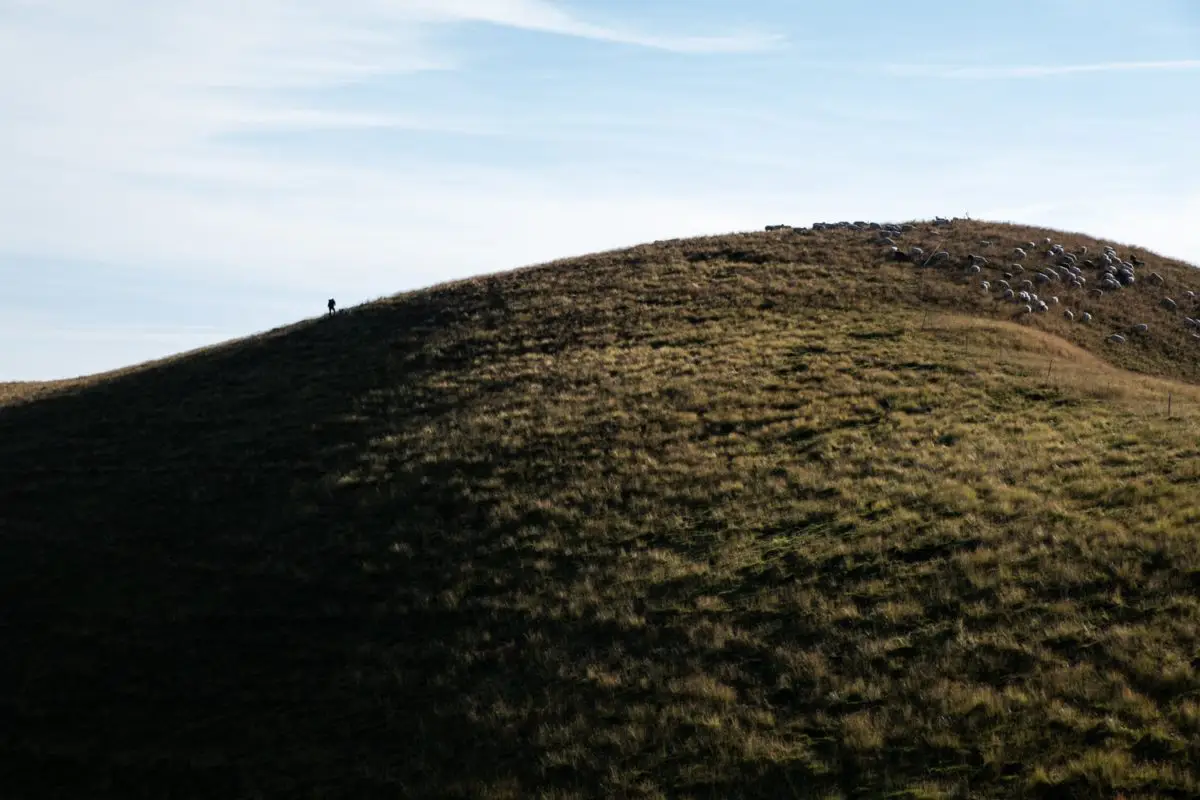 photo paysage montagne troupeau brebis berger