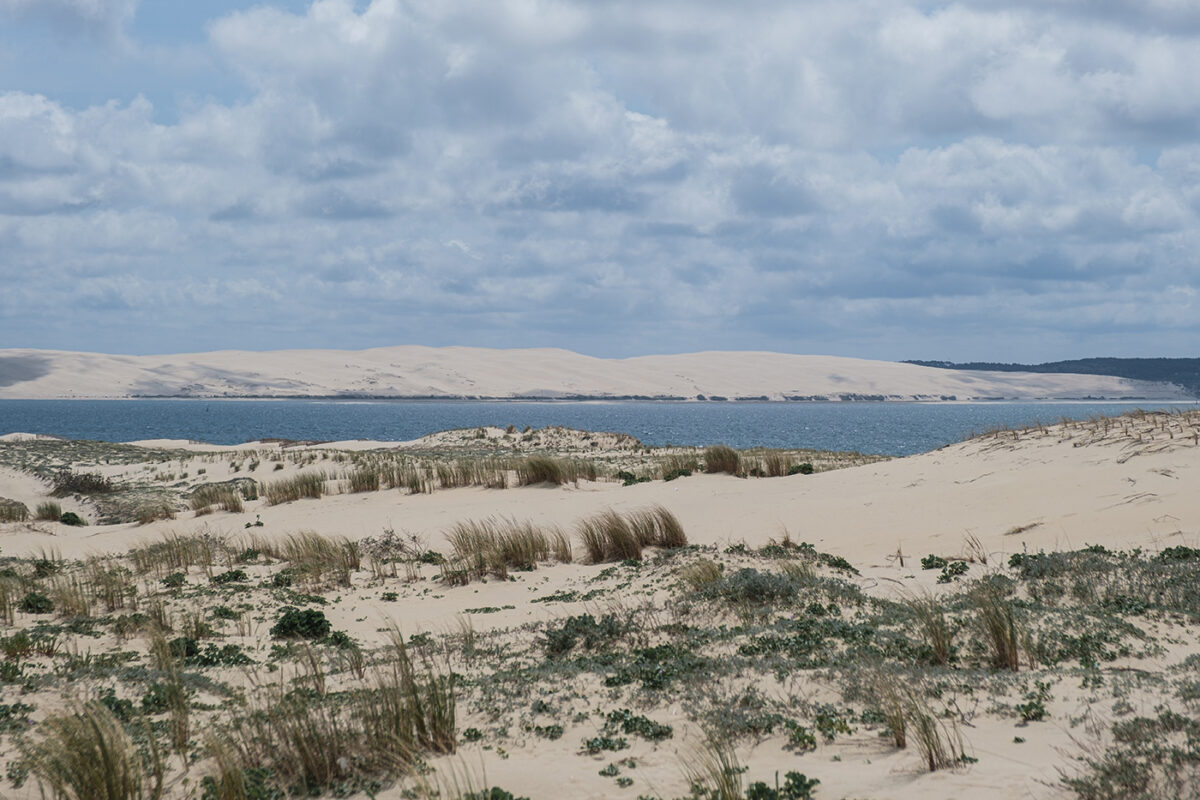 Plage cap ferret vue sur la dune du pilat