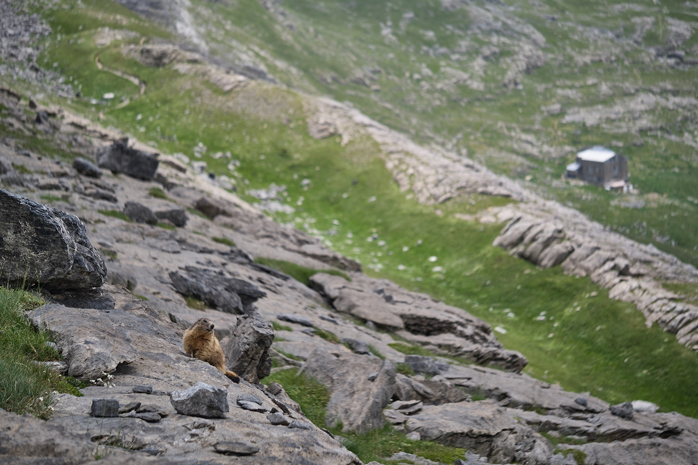 refuge de goritz et marmotte dans le parc national d'ordesa et du mont perdu