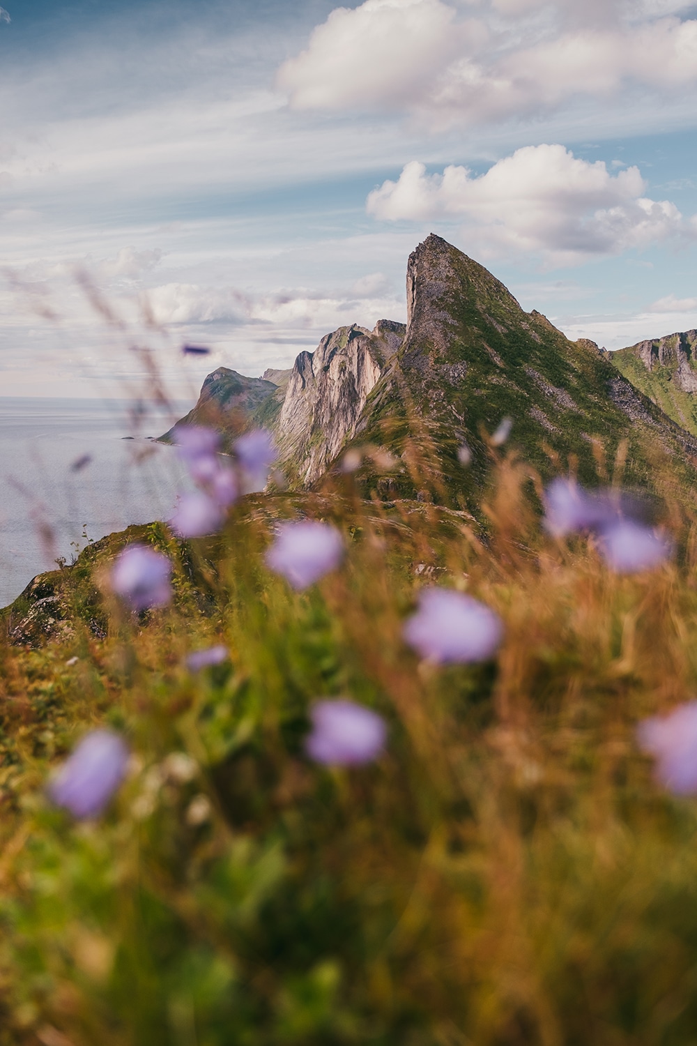 île de Senja : randonnées en Norvège