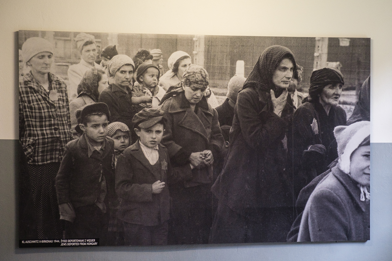 Photographie à l'intérieur du musée d'Auschwitz 