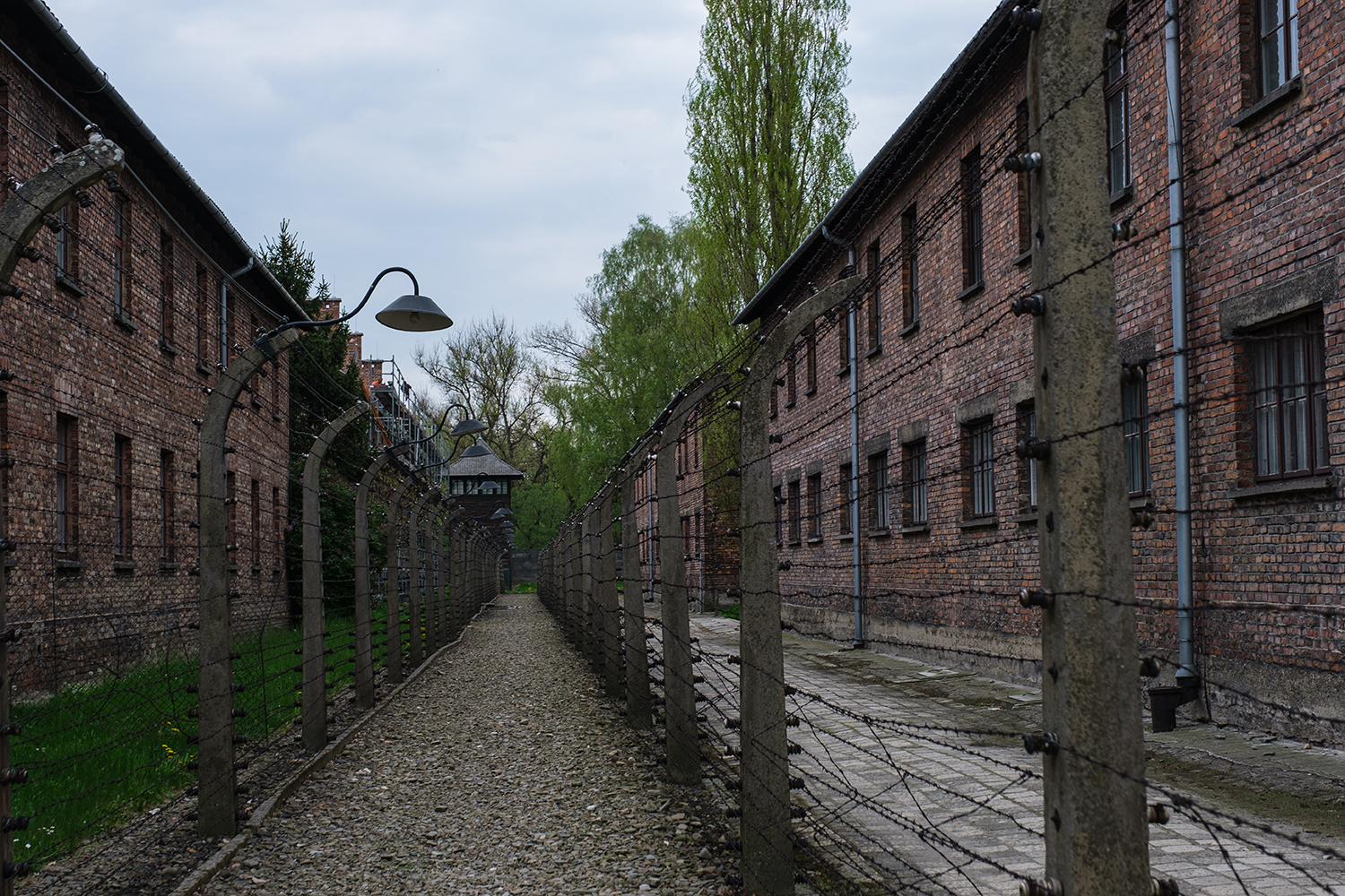 Excursion à Auschwitz depuis Cracovie