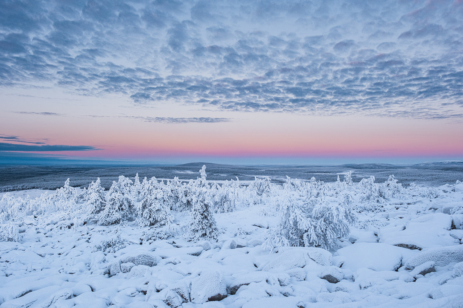 Paysage de grand froid en Laponie Finlandaise