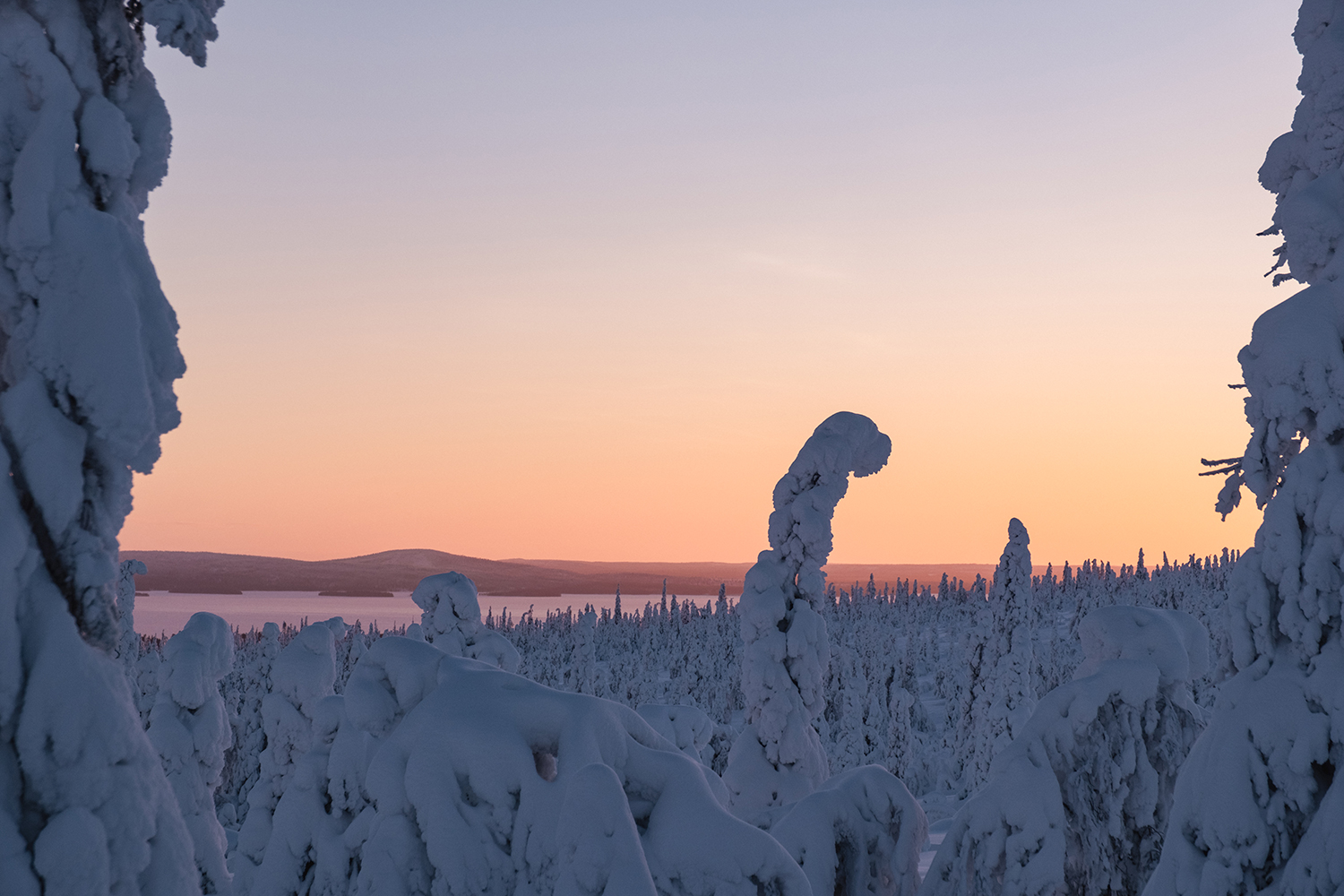 Paysage de Laponie par grand froid