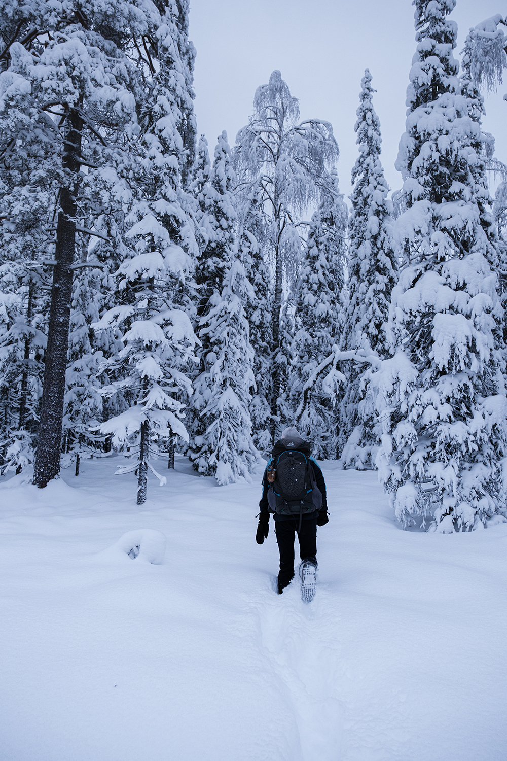 Pantalon étanche pour marcher dans la neige en Laponie