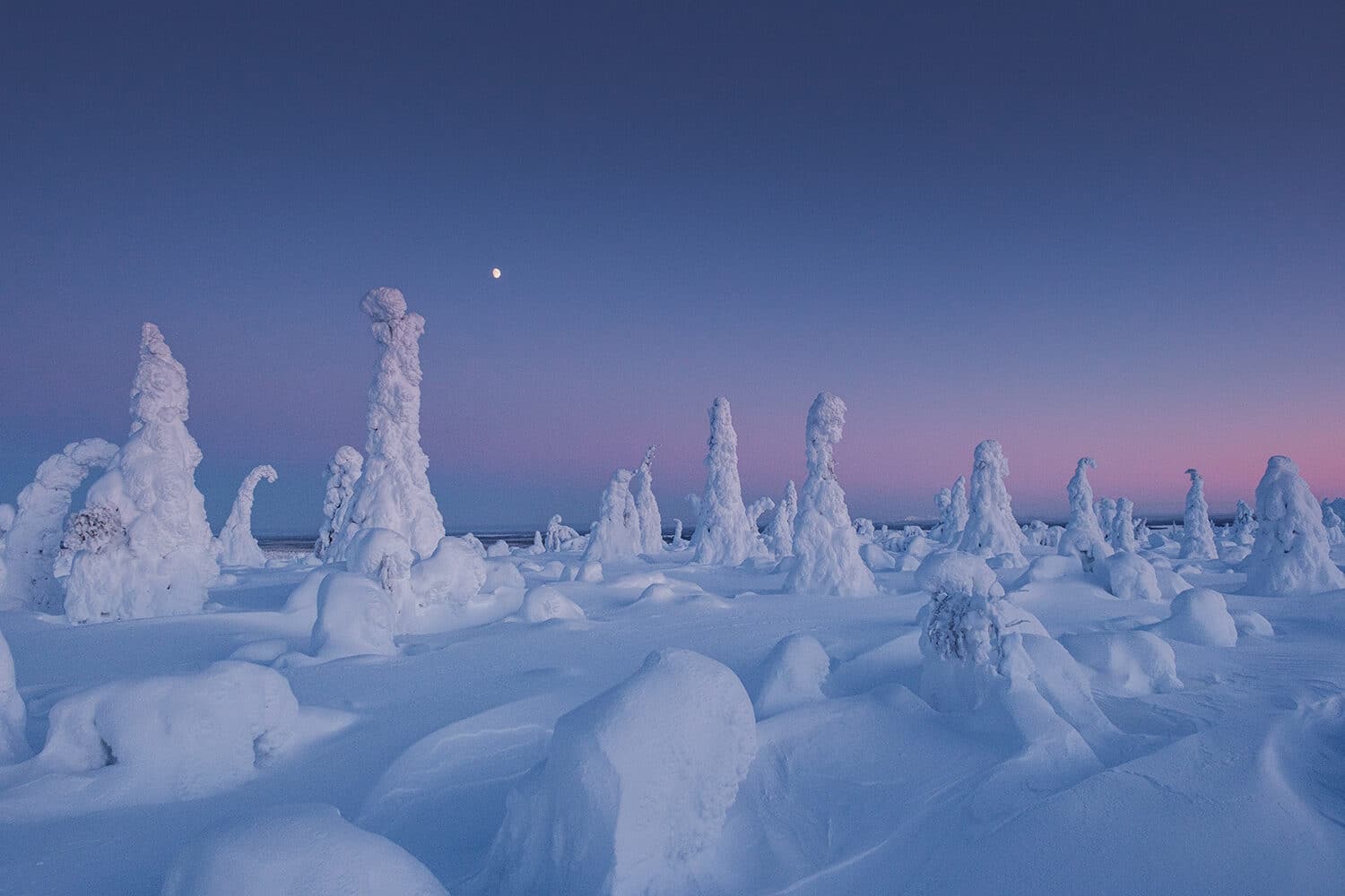 Voyage en Laponie en hiver : guide complet pour préparer son séjour