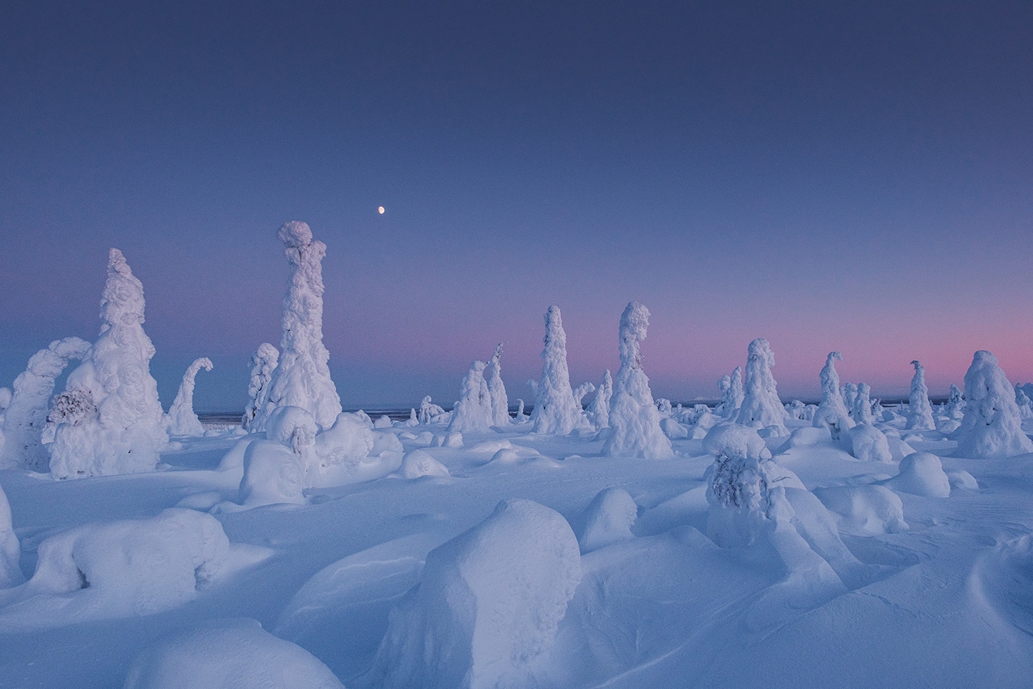 Voyage en Laponie Finlandaise : Guide complet