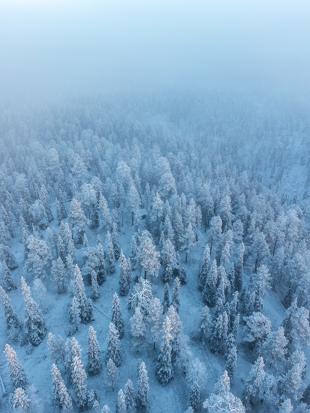 Paysage de Laponie en Finlande