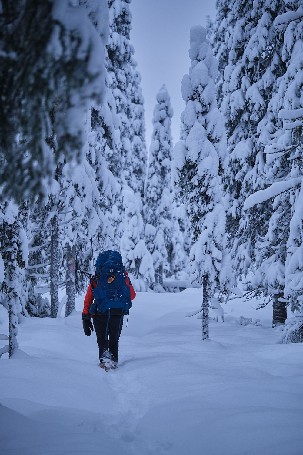 Randonnée sur plusieurs jours dans la neige en Laponie finlandaise