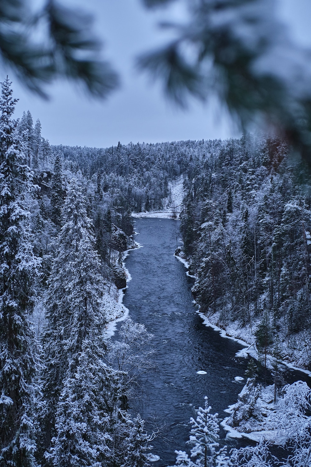 Paysage du parc national oulanka de Laponie en Finlande